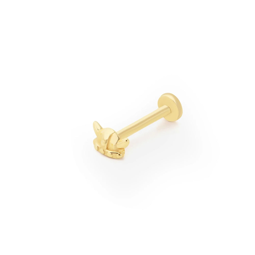 14k Gold Horn Model Tragus Piercing