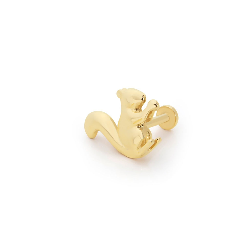 14k Gold Squirrel Tragus Piercing