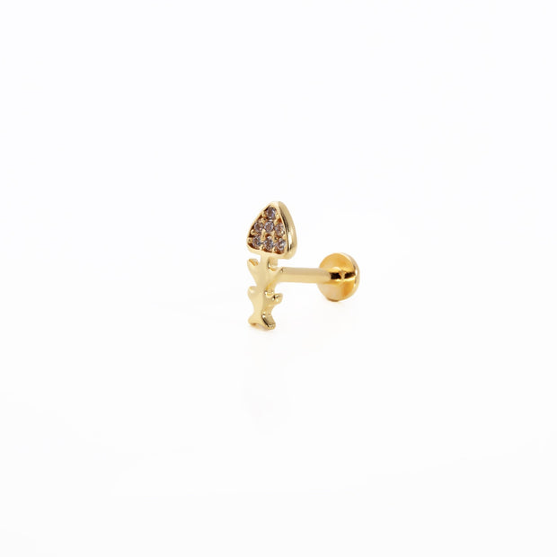14k Gold Fish Skeleton Tragus Piercing