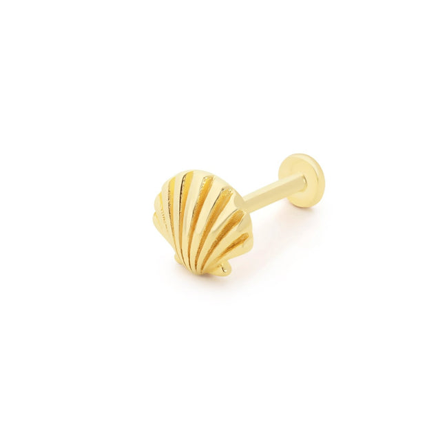 14k Gold Shell Tragus Piercing