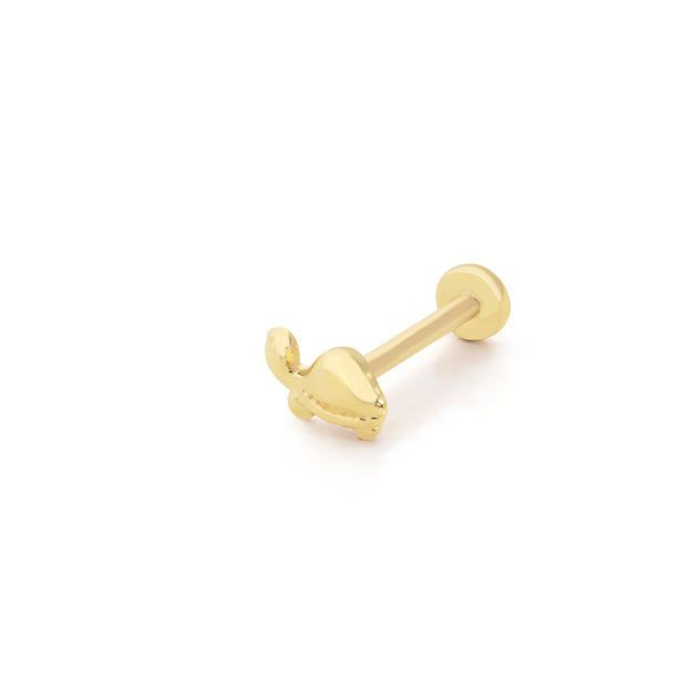 14k Gold Turtle Tragus Piercing