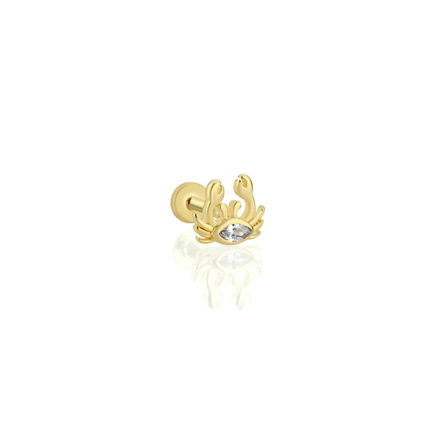 14k Gold Crab Model Tragus Piercing