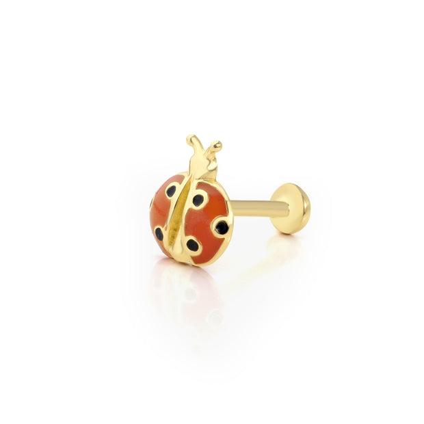 14k Gold Ladybug Model Tragus Piercing
