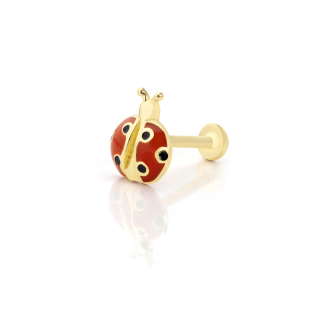 14k Gold Ladybug Model Tragus Piercing