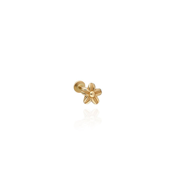 14k Gold Minimal Flower Model Tragus Piercing